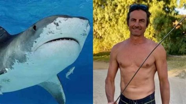 A Shark Attack Survivor's Tale