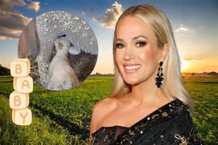 Unveiling Carrie Underwood's Pregnancy: Discoveries And Inspiring Insights