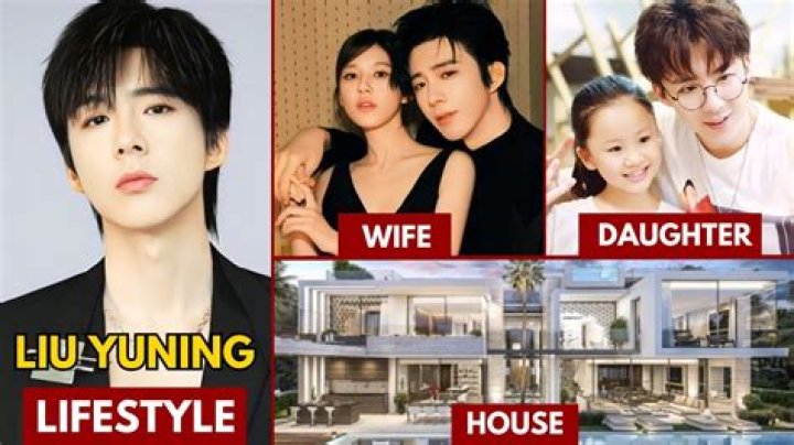 What Is Liu Yifei Husband Name? Relationship Timeline